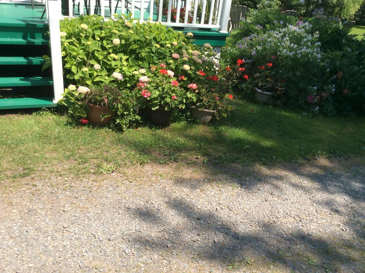 Gite Macdale B&B Paspebiac Экстерьер фото